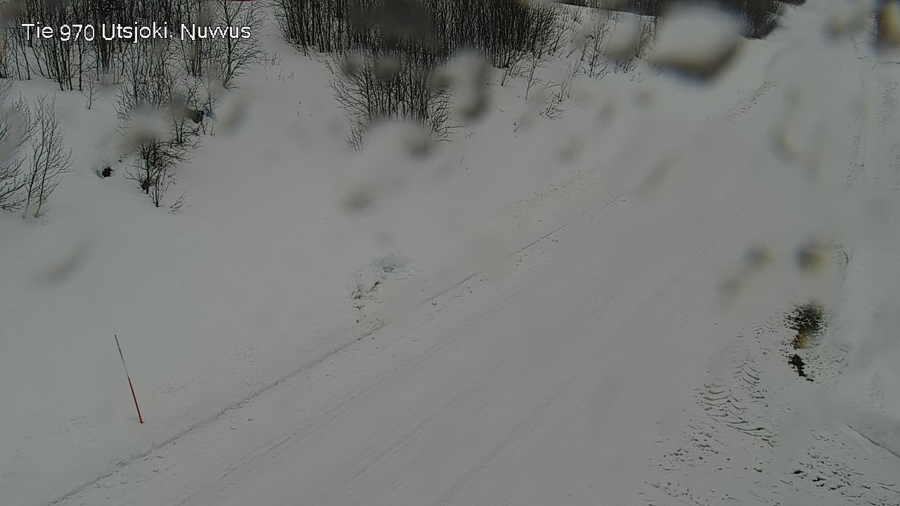 Kelikamerat Kuva Tie 970 Utsjoki, Nuvvus, Utsjoki, Lappi