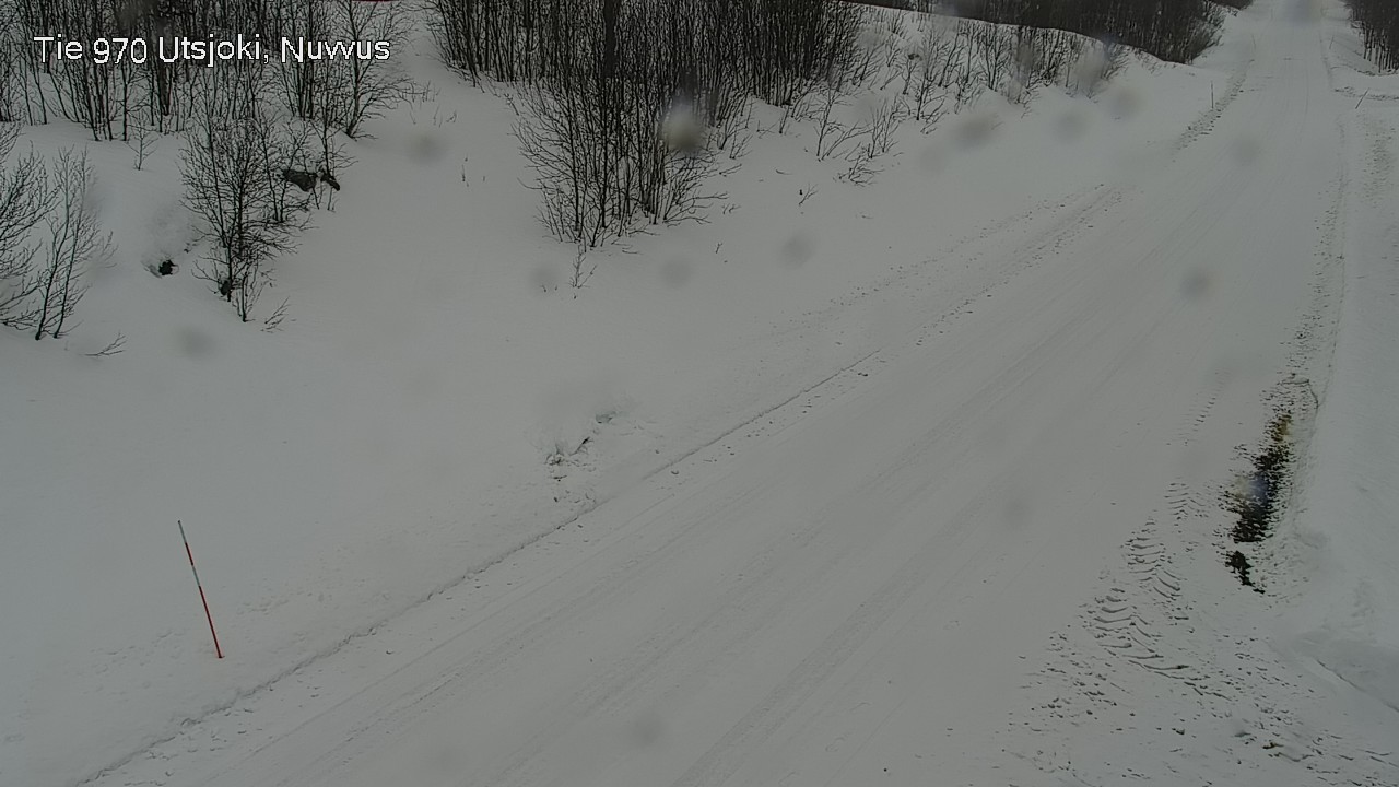 Kelikamerat Kuva Tie 970 Utsjoki, Nuvvus, Utsjoki, Lappi