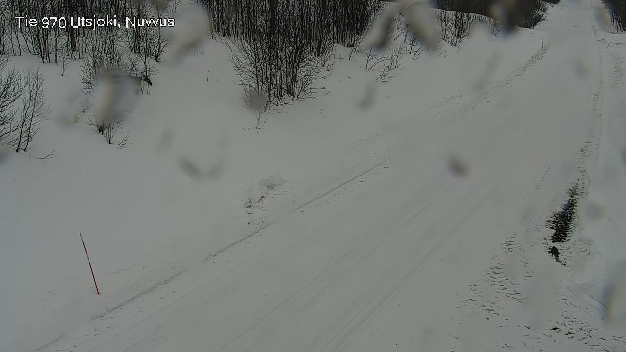 Kelikamerat Kuva Tie 970 Utsjoki, Nuvvus, Utsjoki, Lappi