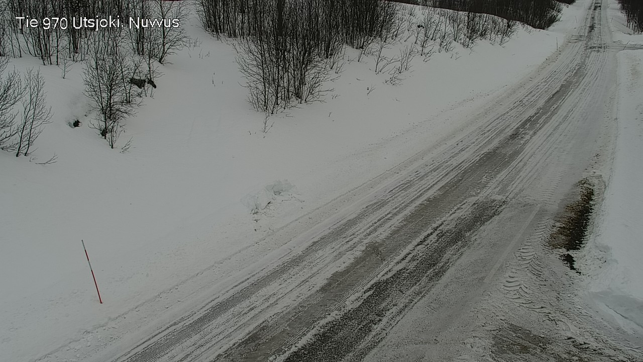 Kelikamerat Kuva Tie 970 Utsjoki, Nuvvus, Utsjoki, Lappi