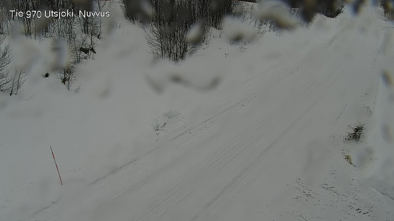 Kelikamerat Kuva Tie 970 Utsjoki, Nuvvus, Utsjoki, Lappi