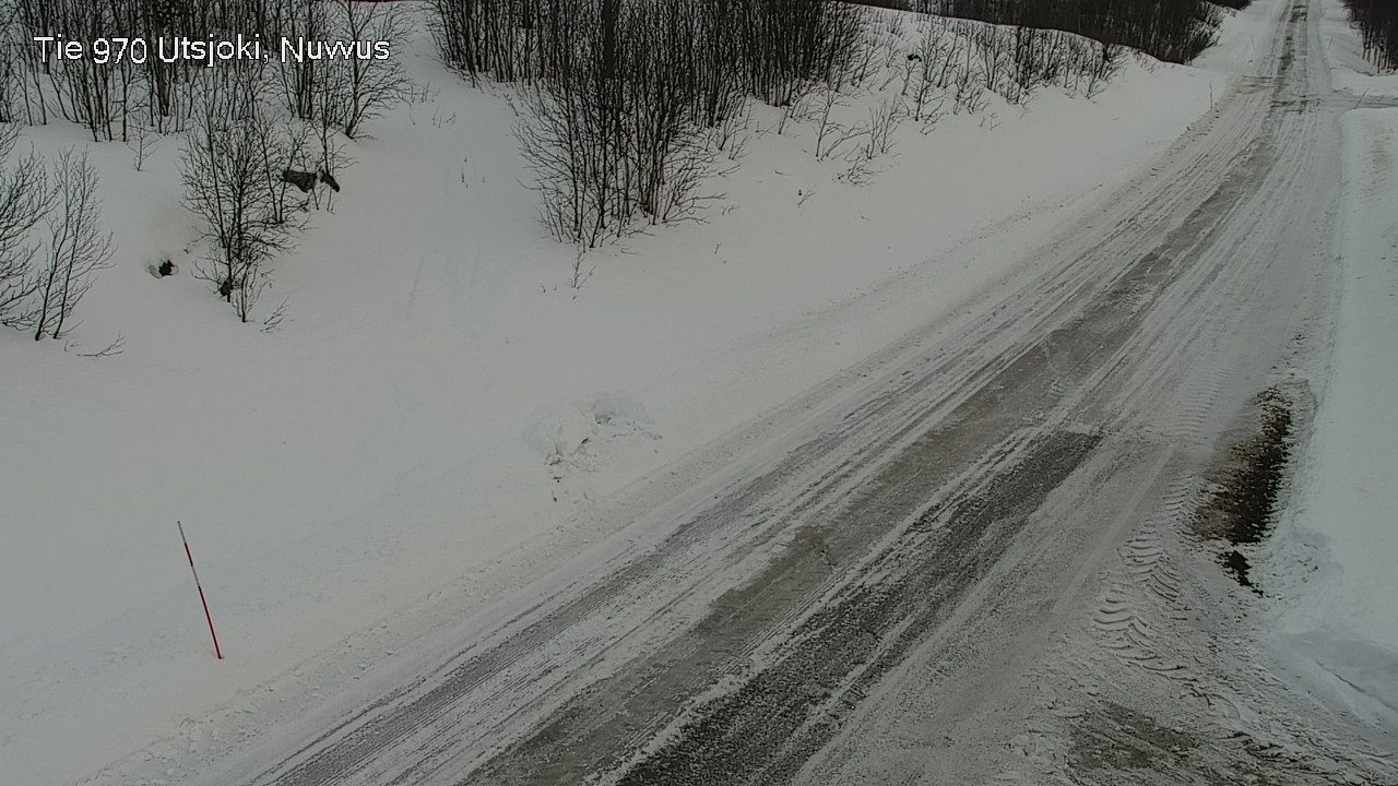 Kelikamerat Kuva Tie 970 Utsjoki, Nuvvus, Utsjoki, Lappi