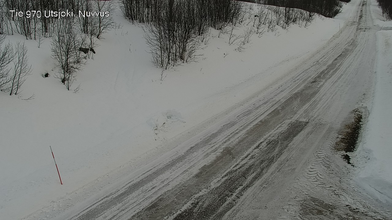 Kelikamerat Kuva Tie 970 Utsjoki, Nuvvus, Utsjoki, Lappi