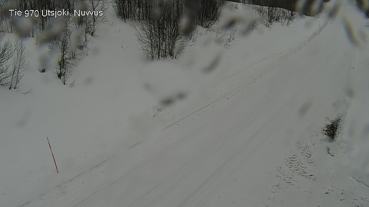 Kelikamerat Kuva Tie 970 Utsjoki, Nuvvus, Utsjoki, Lappi