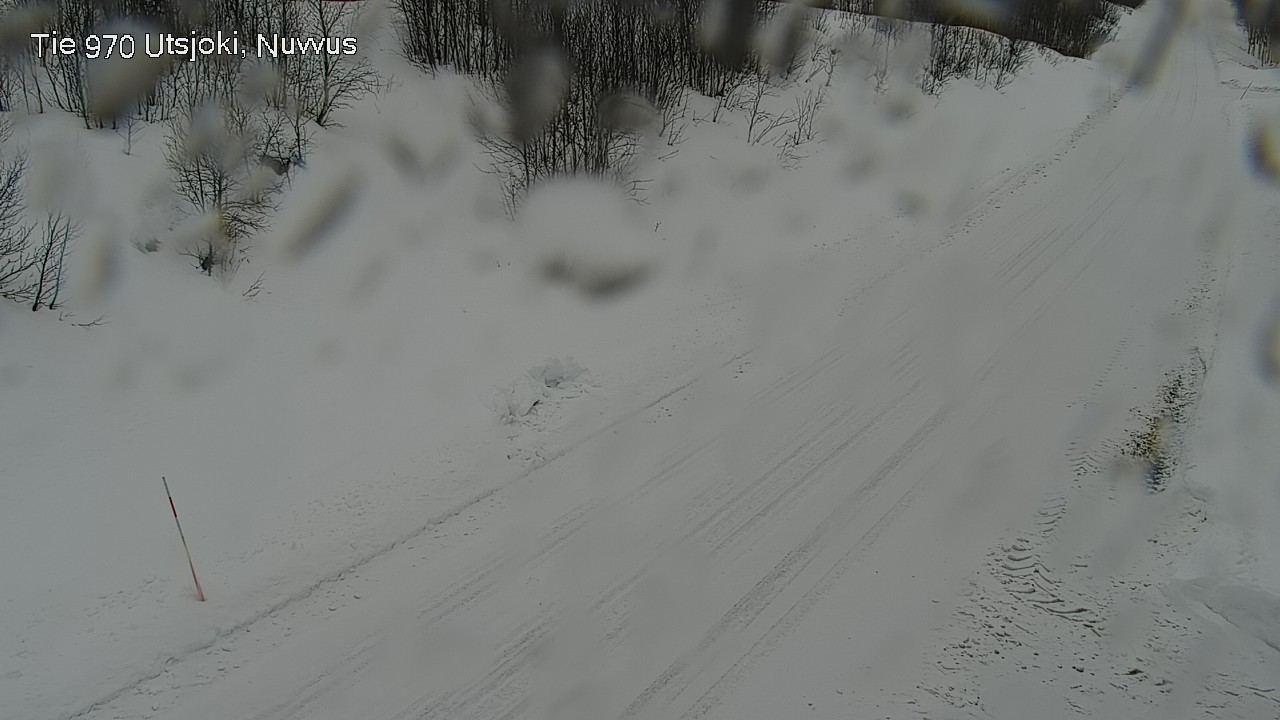 Kelikamerat Kuva Tie 970 Utsjoki, Nuvvus, Utsjoki, Lappi