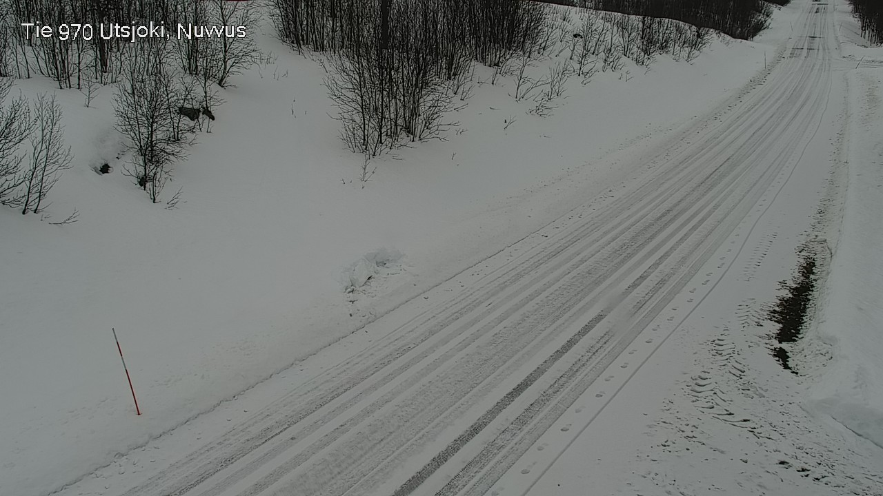 Weather Camera Image Road 970 Utsjoki, Nuvvus, Utsjoki, Lappi