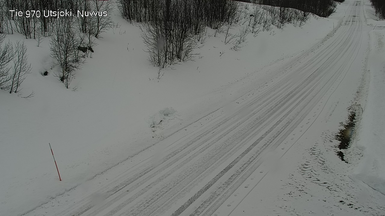 Weather Camera Image Road 970 Utsjoki, Nuvvus, Utsjoki, Lappi
