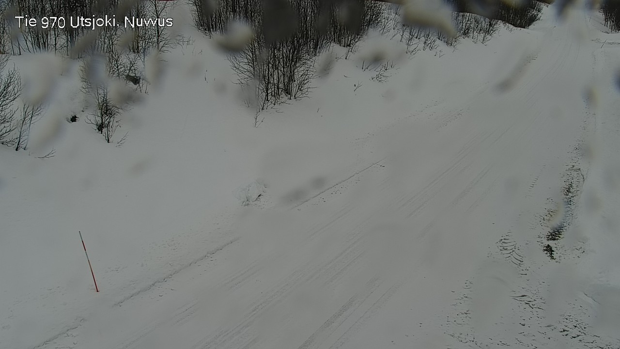 Kelikamerat Kuva Tie 970 Utsjoki, Nuvvus, Utsjoki, Lappi