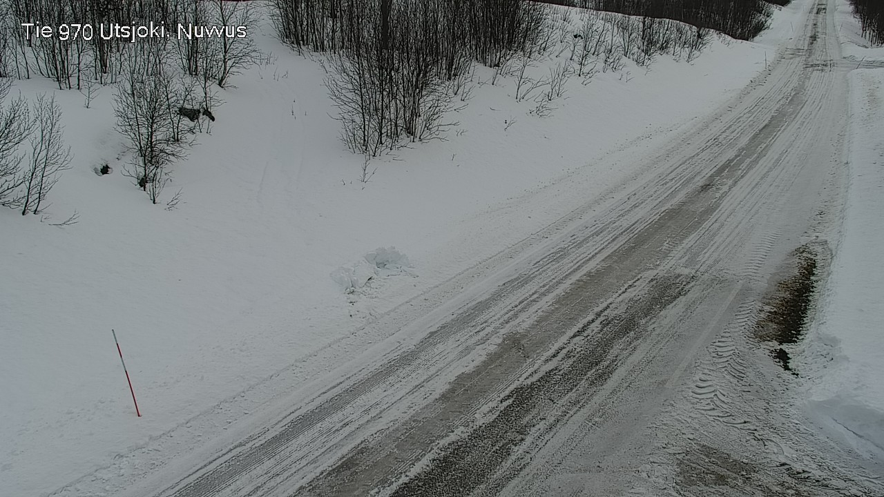 Kelikamerat Kuva Tie 970 Utsjoki, Nuvvus, Utsjoki, Lappi