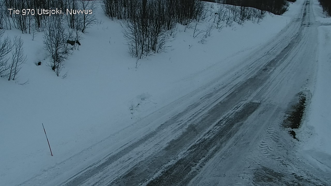 Kelikamerat Kuva Tie 970 Utsjoki, Nuvvus, Utsjoki, Lappi