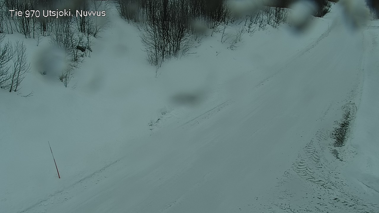 Kelikamerat Kuva Tie 970 Utsjoki, Nuvvus, Utsjoki, Lappi