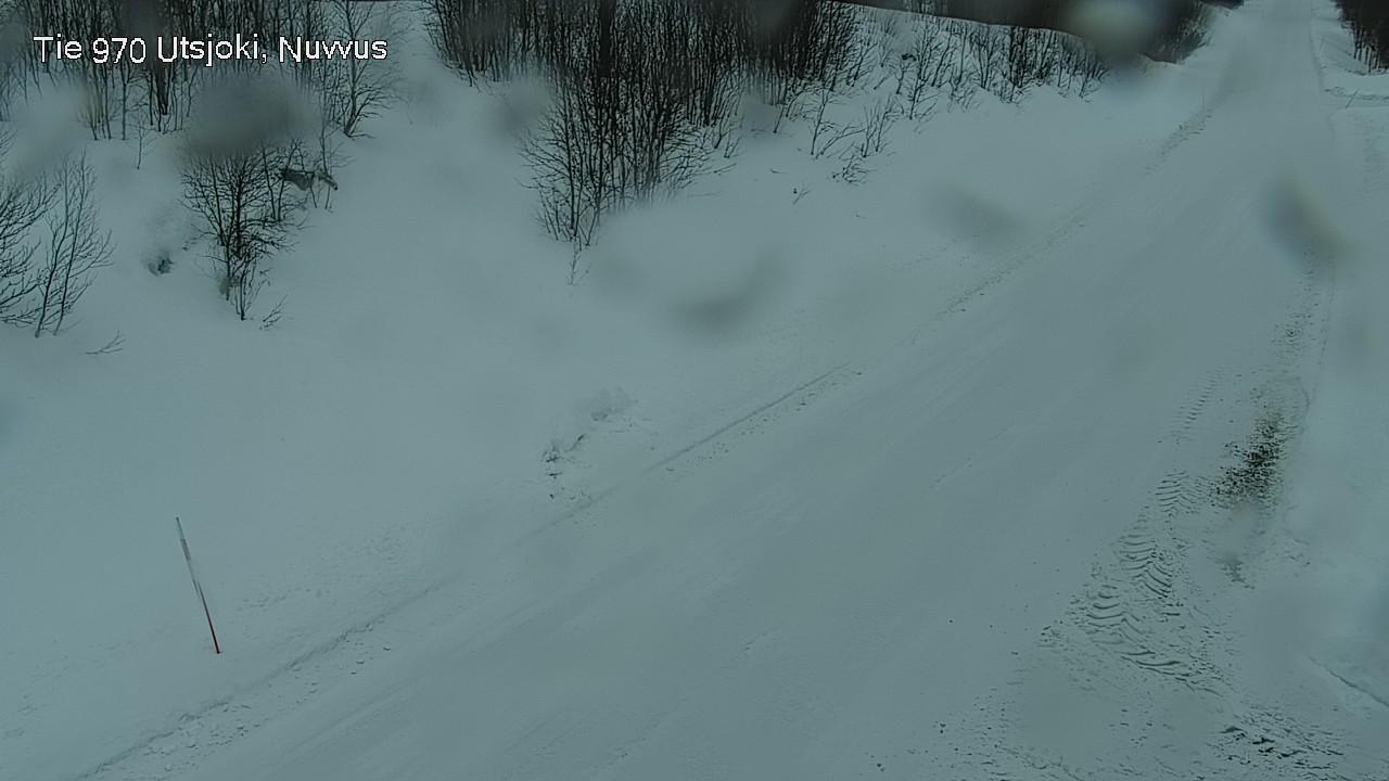 Kelikamerat Kuva Tie 970 Utsjoki, Nuvvus, Utsjoki, Lappi