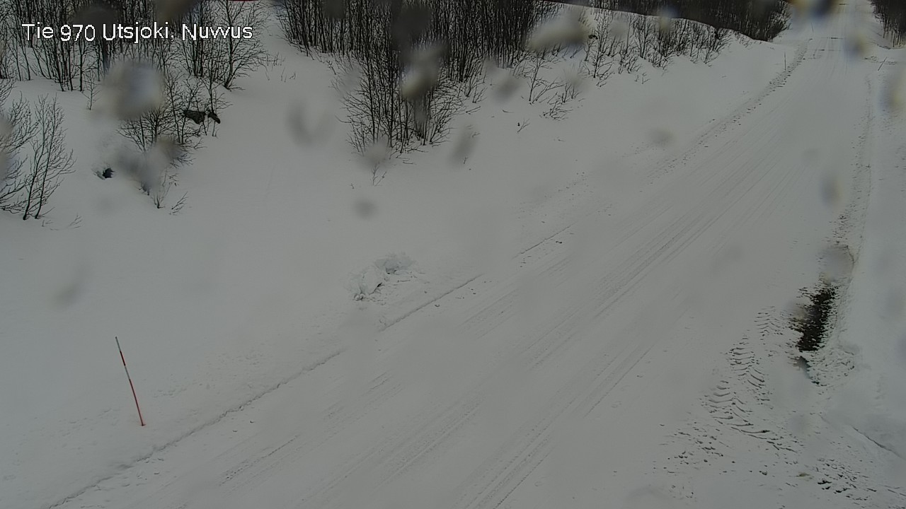 Weather Camera Image Road 970 Utsjoki, Nuvvus, Utsjoki, Lappi