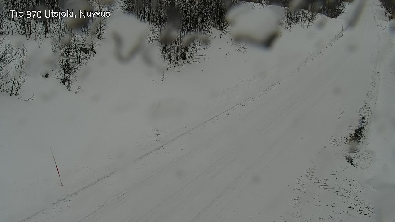 Kelikamerat Kuva Tie 970 Utsjoki, Nuvvus, Utsjoki, Lappi