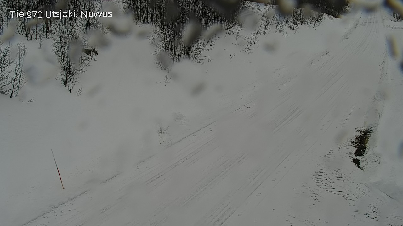 Weather Camera Image Road 970 Utsjoki, Nuvvus, Utsjoki, Lappi