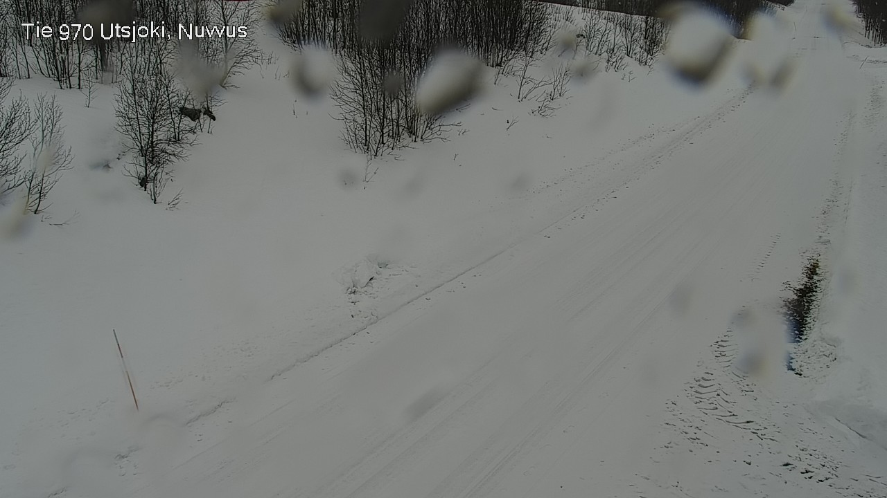 Weather Camera Image Road 970 Utsjoki, Nuvvus, Utsjoki, Lappi