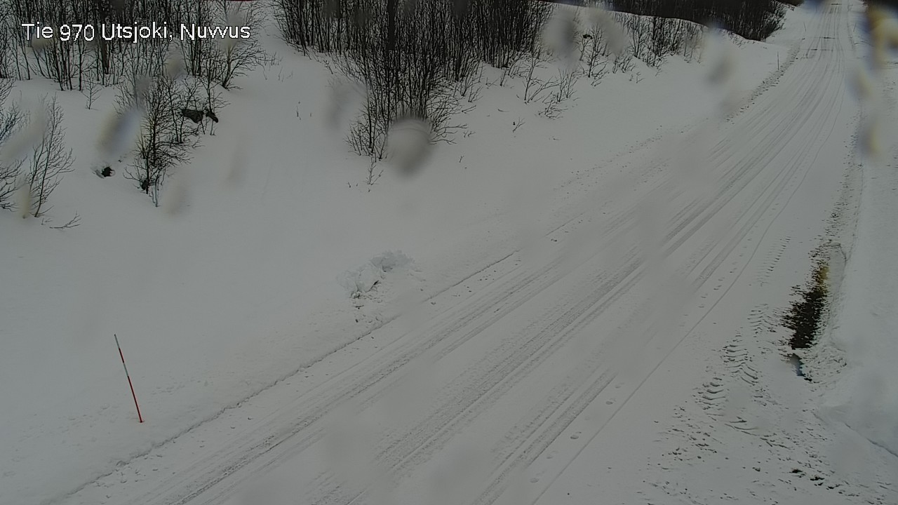 Weather Camera Image Road 970 Utsjoki, Nuvvus, Utsjoki, Lappi