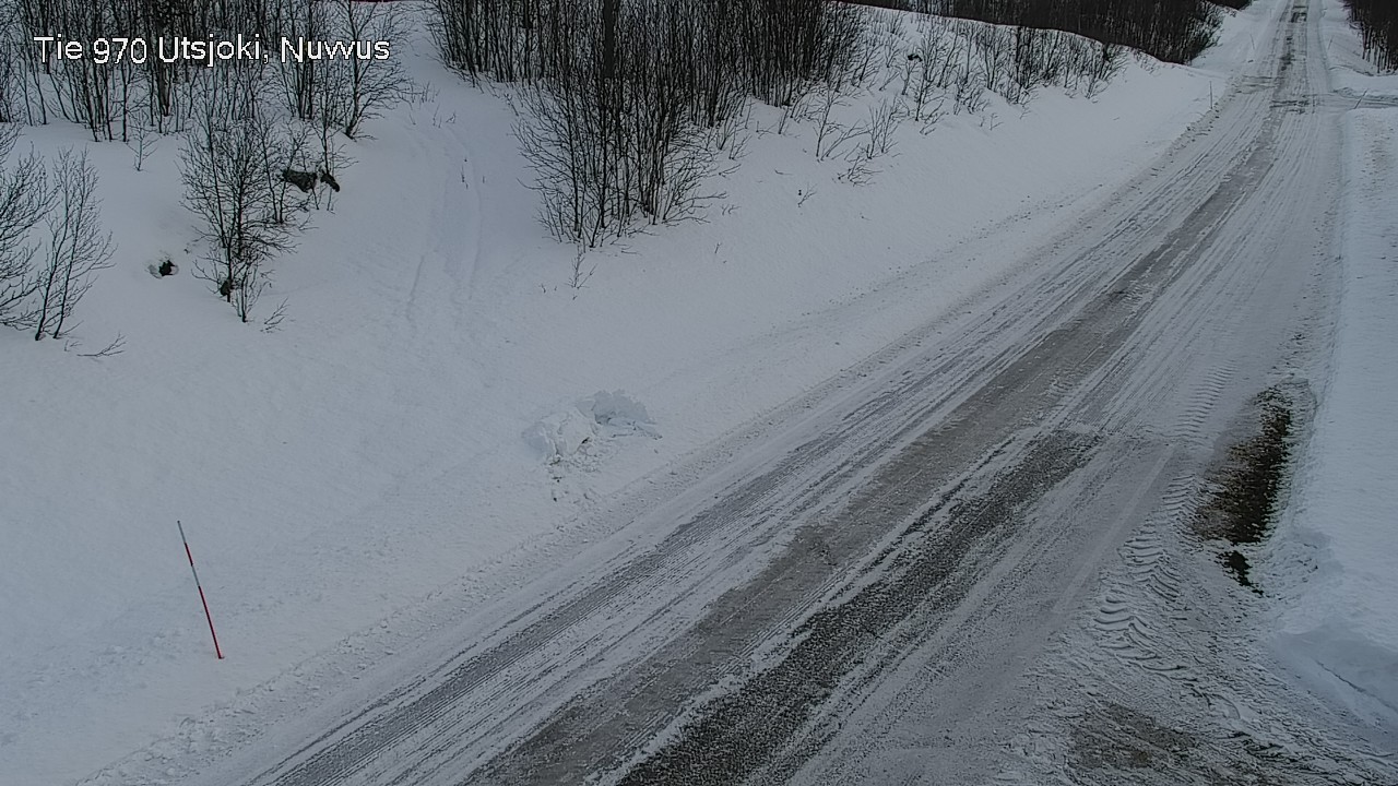 Kelikamerat Kuva Tie 970 Utsjoki, Nuvvus, Utsjoki, Lappi