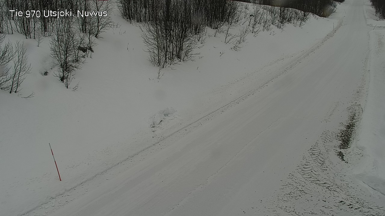 Kelikamerat Kuva Tie 970 Utsjoki, Nuvvus, Utsjoki, Lappi