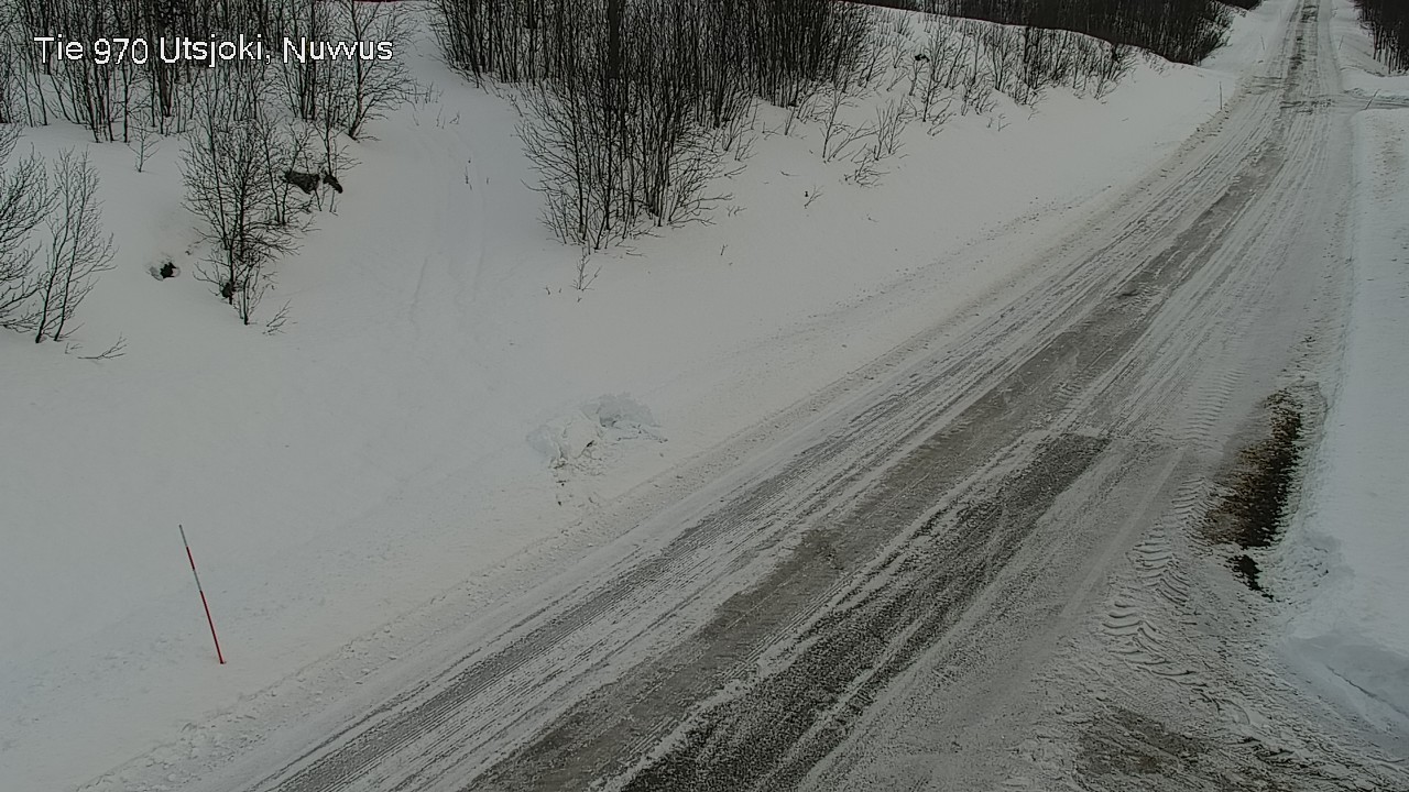 Kelikamerat Kuva Tie 970 Utsjoki, Nuvvus, Utsjoki, Lappi