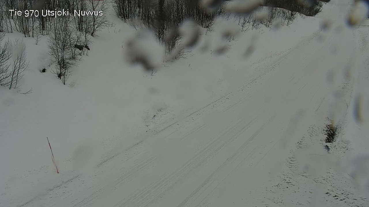 Kelikamerat Kuva Tie 970 Utsjoki, Nuvvus, Utsjoki, Lappi