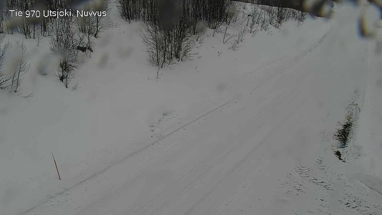 Kelikamerat Kuva Tie 970 Utsjoki, Nuvvus, Utsjoki, Lappi