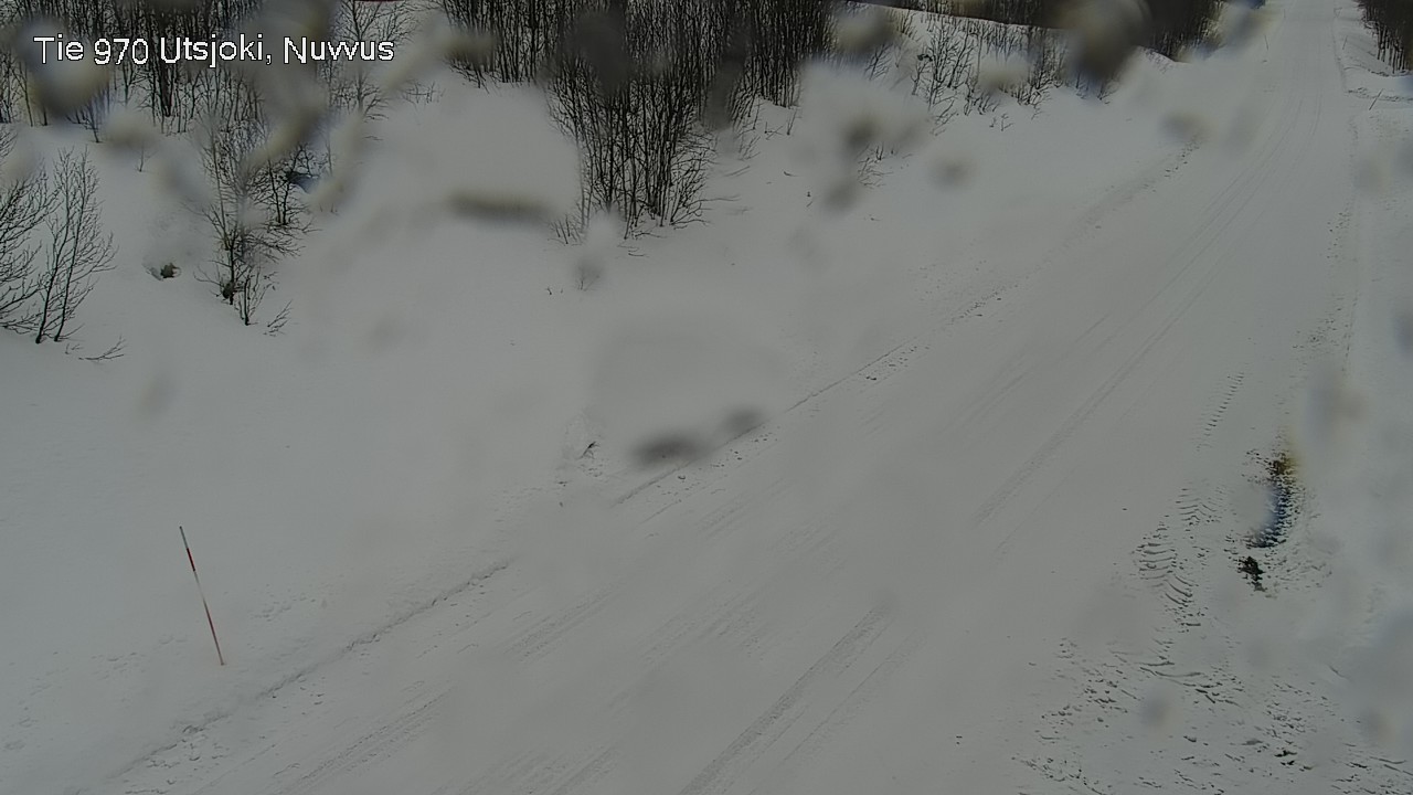 Kelikamerat Kuva Tie 970 Utsjoki, Nuvvus, Utsjoki, Lappi