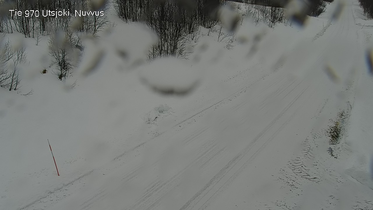 Kelikamerat Kuva Tie 970 Utsjoki, Nuvvus, Utsjoki, Lappi