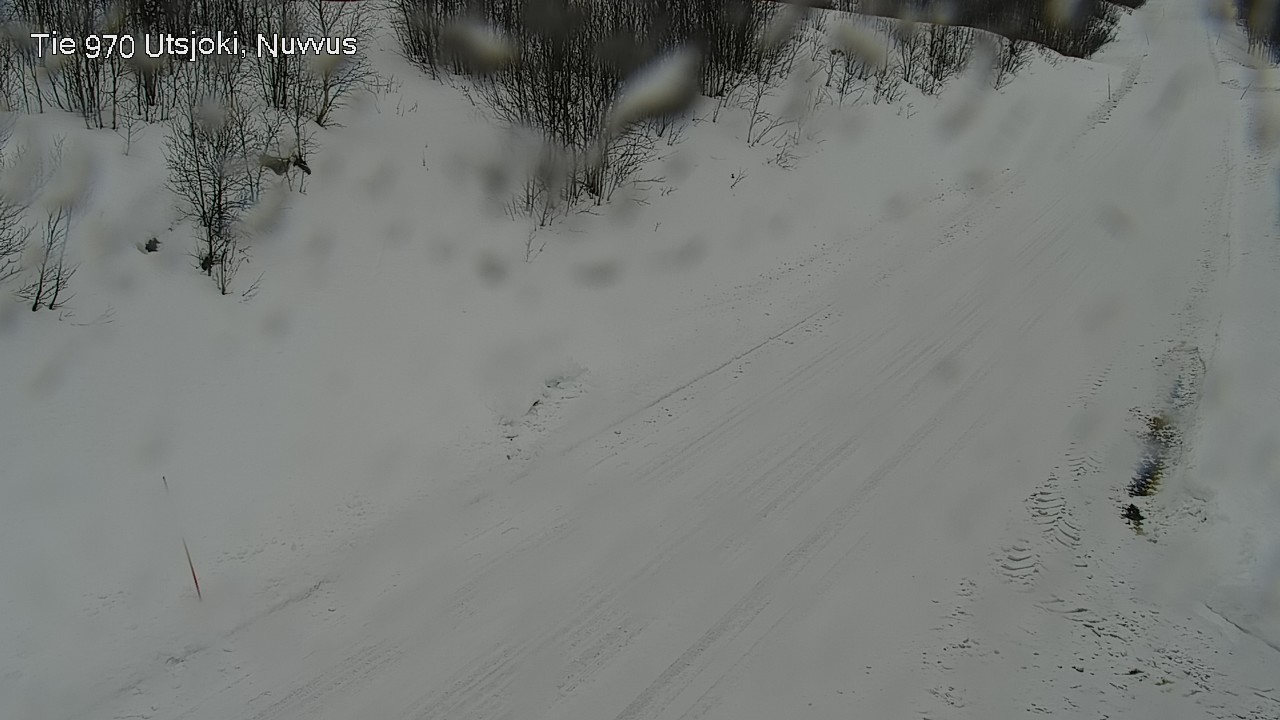 Kelikamerat Kuva Tie 970 Utsjoki, Nuvvus, Utsjoki, Lappi