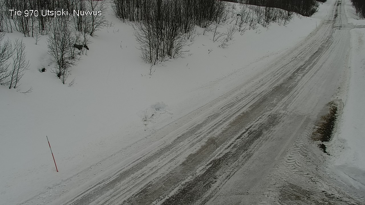 Kelikamerat Kuva Tie 970 Utsjoki, Nuvvus, Utsjoki, Lappi