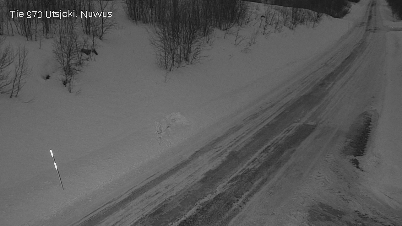 Kelikamerat Kuva Tie 970 Utsjoki, Nuvvus, Utsjoki, Lappi