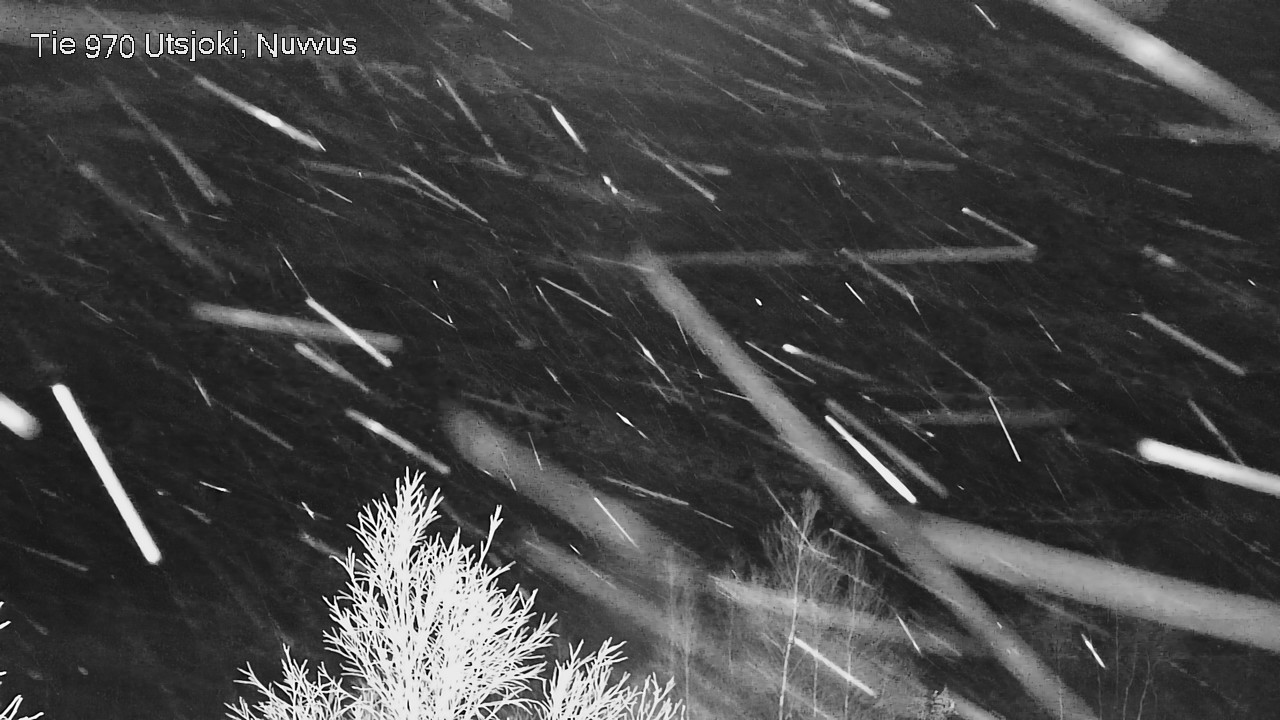 Kelikamerat Kuva Tie 970 Utsjoki, Nuvvus, Utsjoki, Lappi