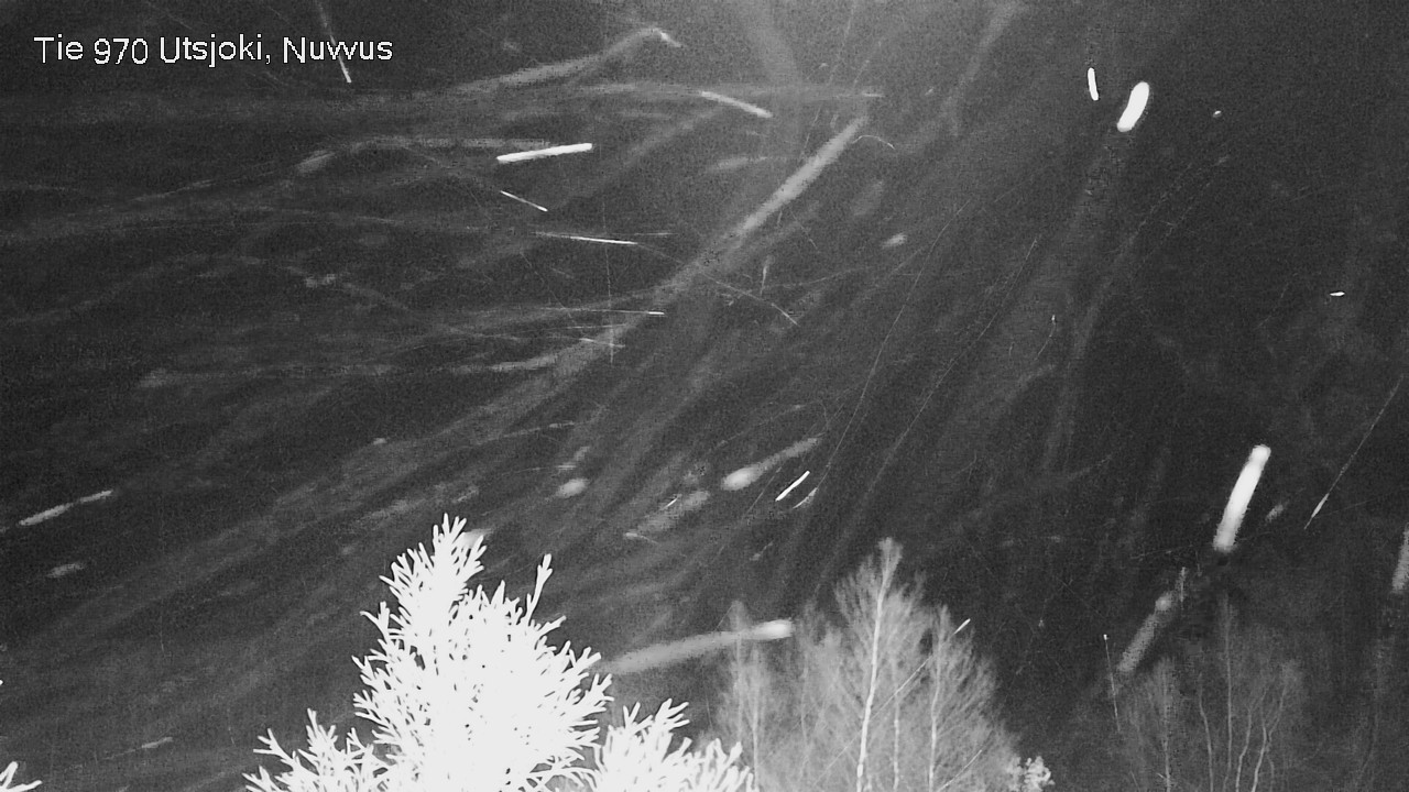 Kelikamerat Kuva Tie 970 Utsjoki, Nuvvus, Utsjoki, Lappi