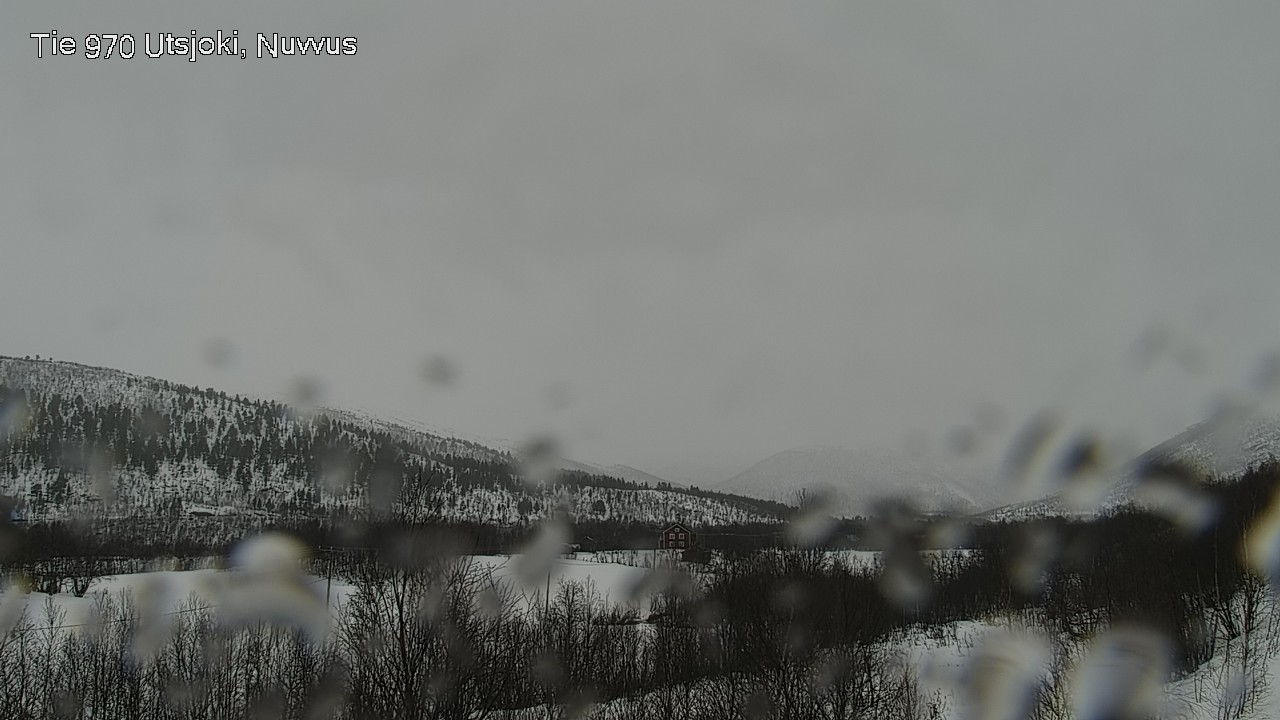 Weather Camera Image Road 970 Utsjoki, Nuvvus, Utsjoki, Lappi
