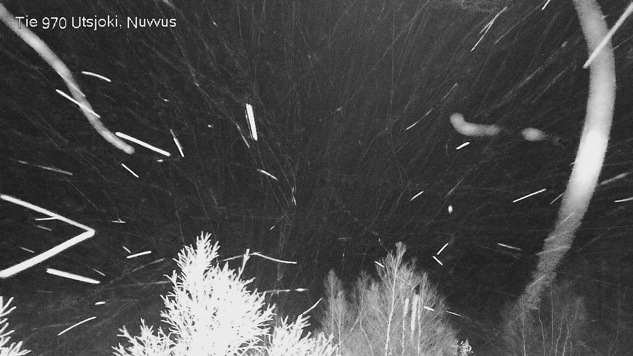 Kelikamerat Kuva Tie 970 Utsjoki, Nuvvus, Utsjoki, Lappi
