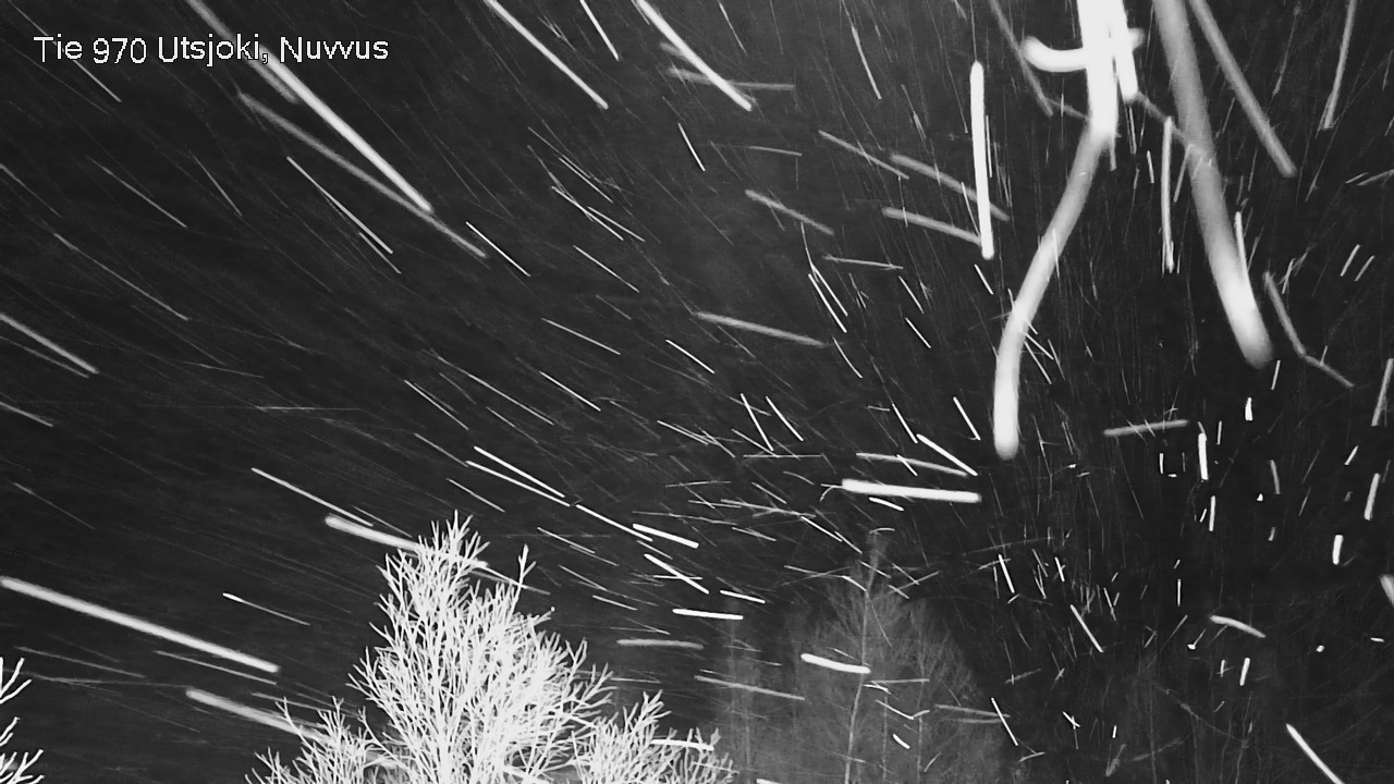 Kelikamerat Kuva Tie 970 Utsjoki, Nuvvus, Utsjoki, Lappi