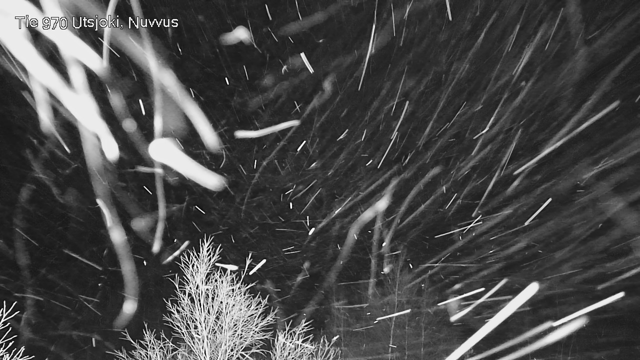 Kelikamerat Kuva Tie 970 Utsjoki, Nuvvus, Utsjoki, Lappi