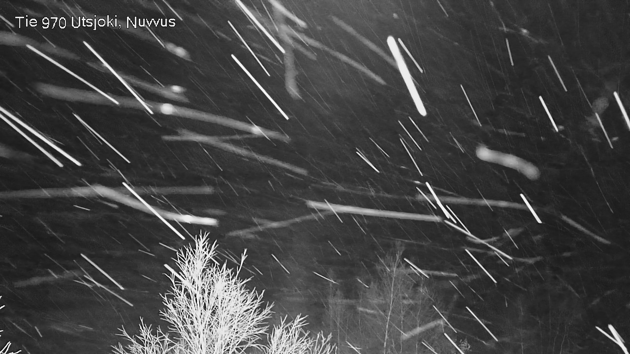 Kelikamerat Kuva Tie 970 Utsjoki, Nuvvus, Utsjoki, Lappi
