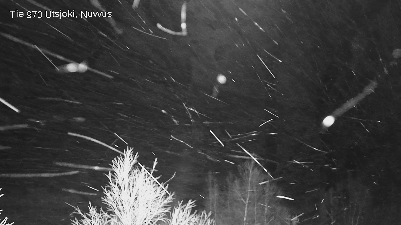 Kelikamerat Kuva Tie 970 Utsjoki, Nuvvus, Utsjoki, Lappi
