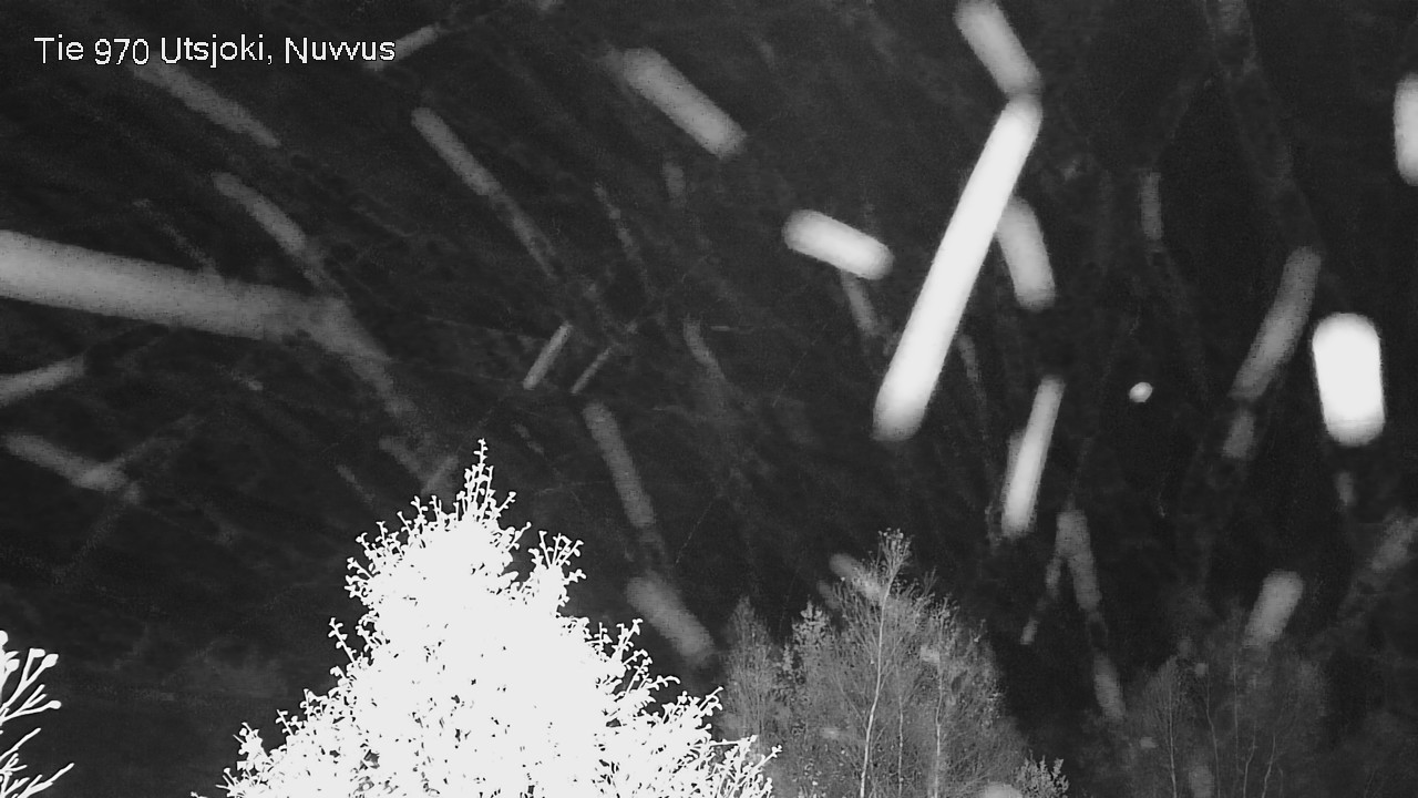 Kelikamerat Kuva Tie 970 Utsjoki, Nuvvus, Utsjoki, Lappi