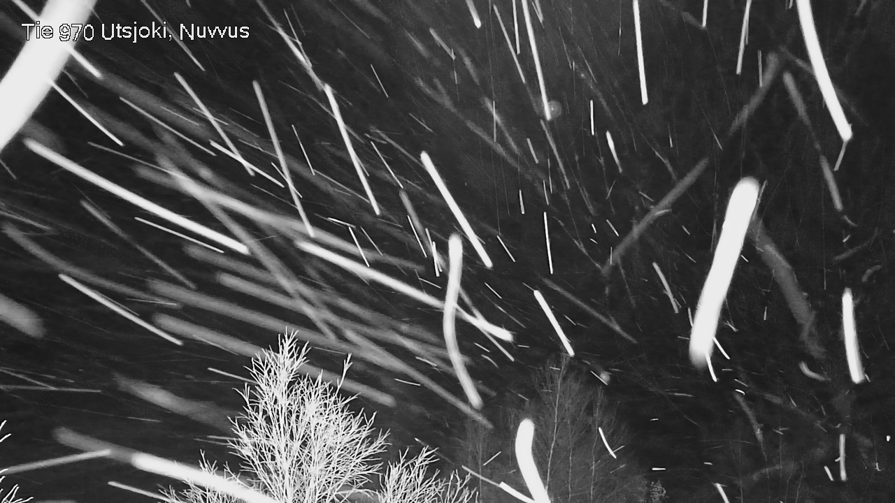 Kelikamerat Kuva Tie 970 Utsjoki, Nuvvus, Utsjoki, Lappi