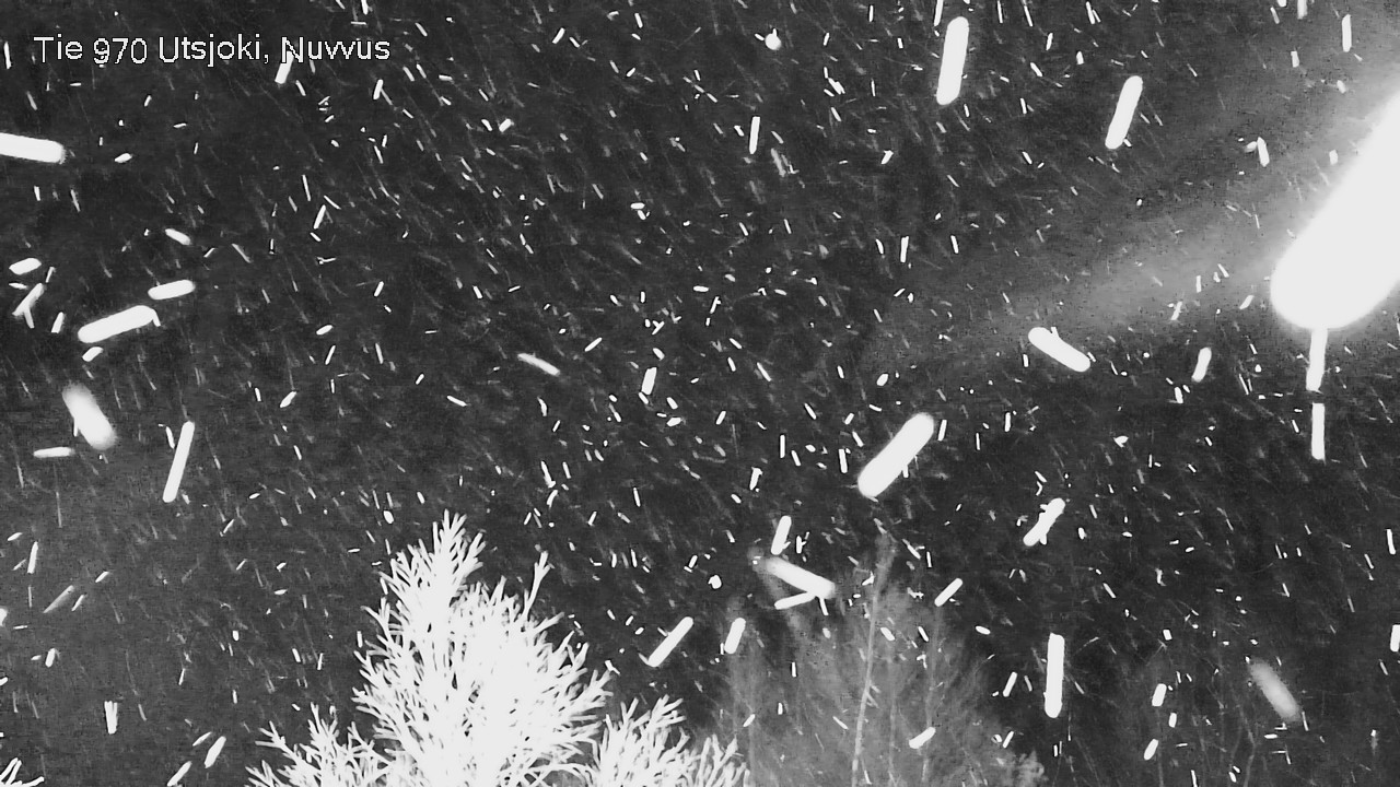 Kelikamerat Kuva Tie 970 Utsjoki, Nuvvus, Utsjoki, Lappi