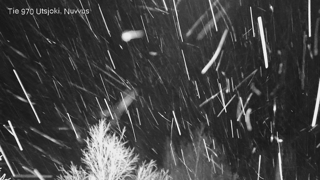 Kelikamerat Kuva Tie 970 Utsjoki, Nuvvus, Utsjoki, Lappi