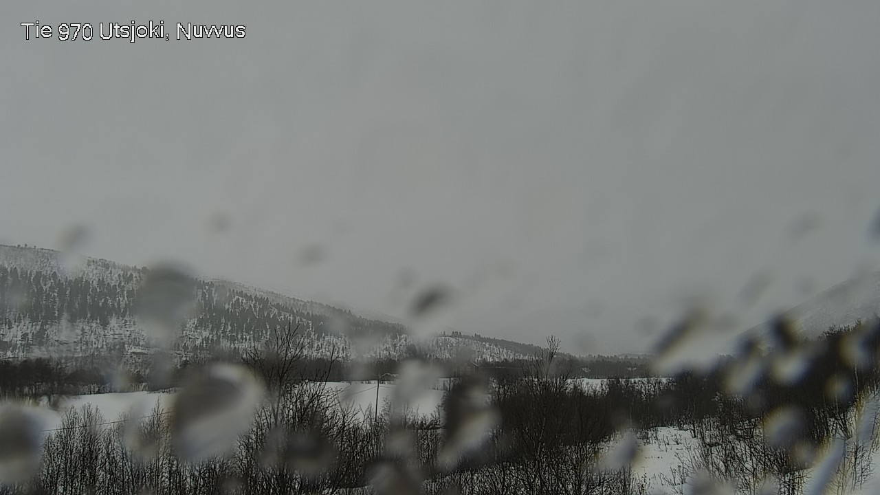 Kelikamerat Kuva Tie 970 Utsjoki, Nuvvus, Utsjoki, Lappi