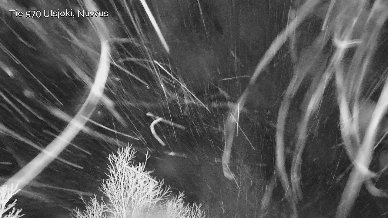 Kelikamerat Kuva Tie 970 Utsjoki, Nuvvus, Utsjoki, Lappi