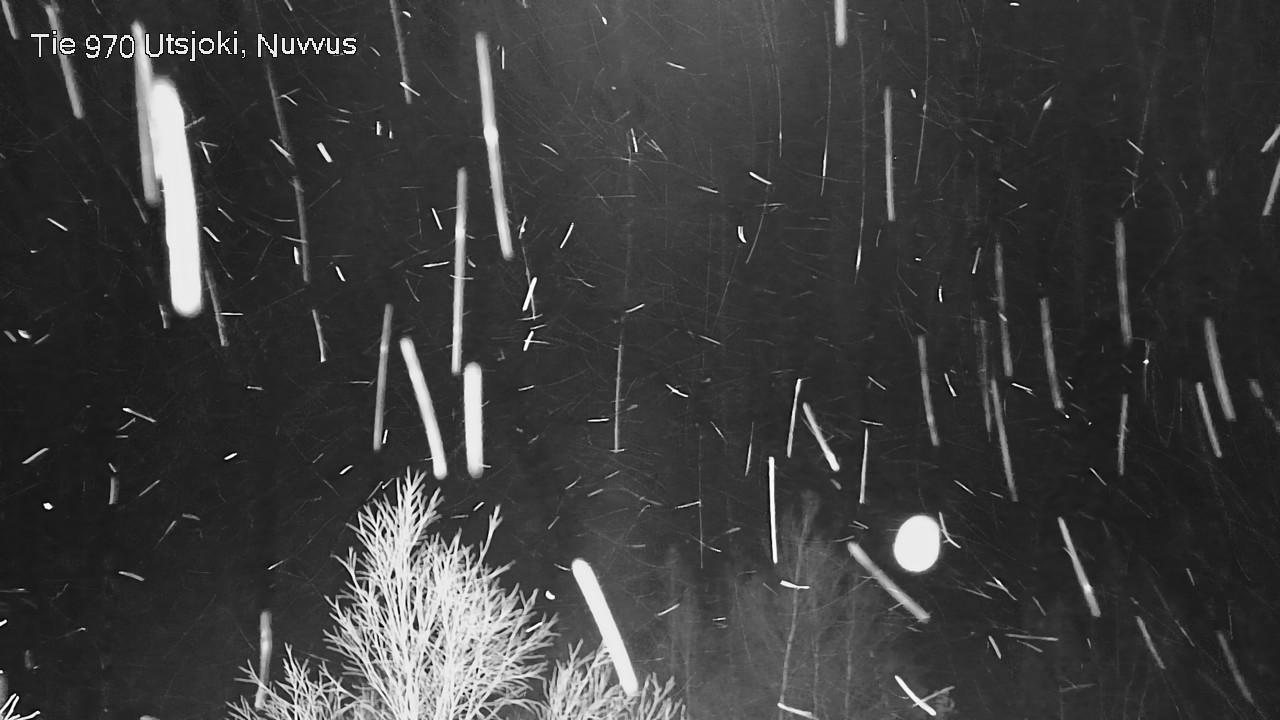 Kelikamerat Kuva Tie 970 Utsjoki, Nuvvus, Utsjoki, Lappi