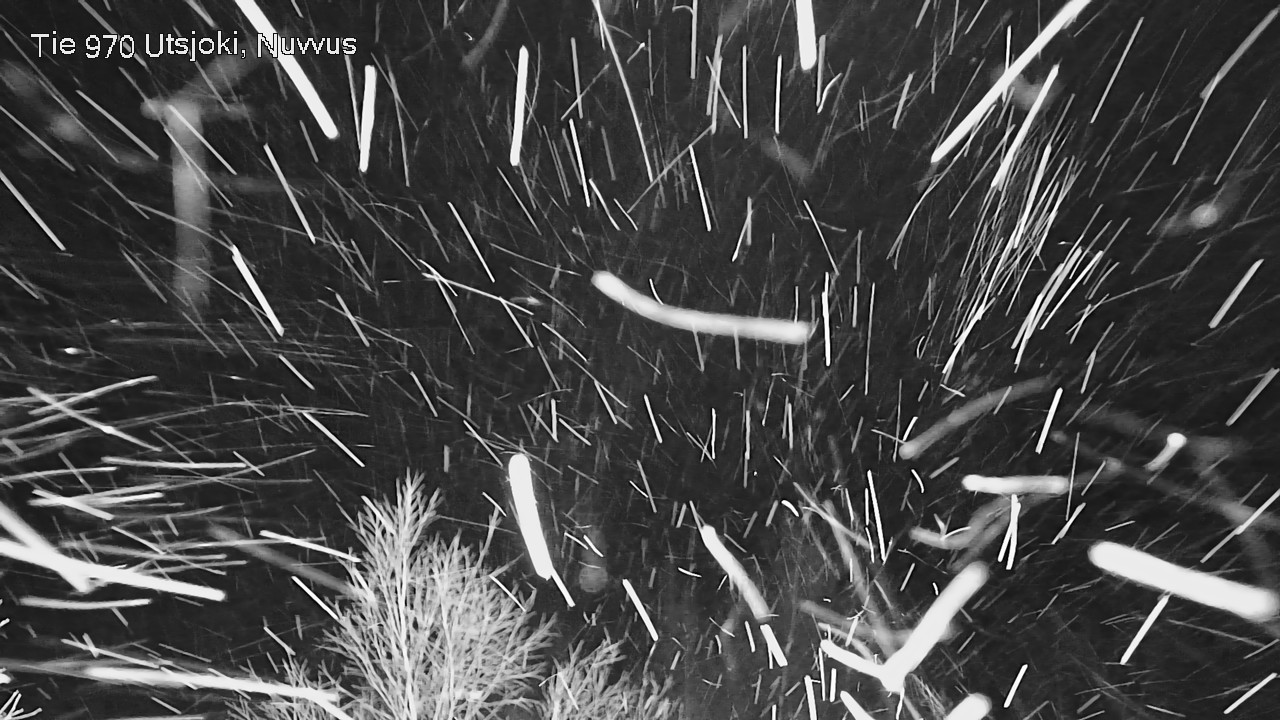 Kelikamerat Kuva Tie 970 Utsjoki, Nuvvus, Utsjoki, Lappi
