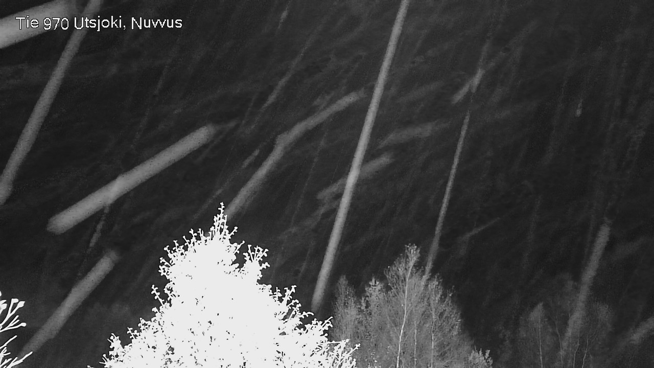 Kelikamerat Kuva Tie 970 Utsjoki, Nuvvus, Utsjoki, Lappi