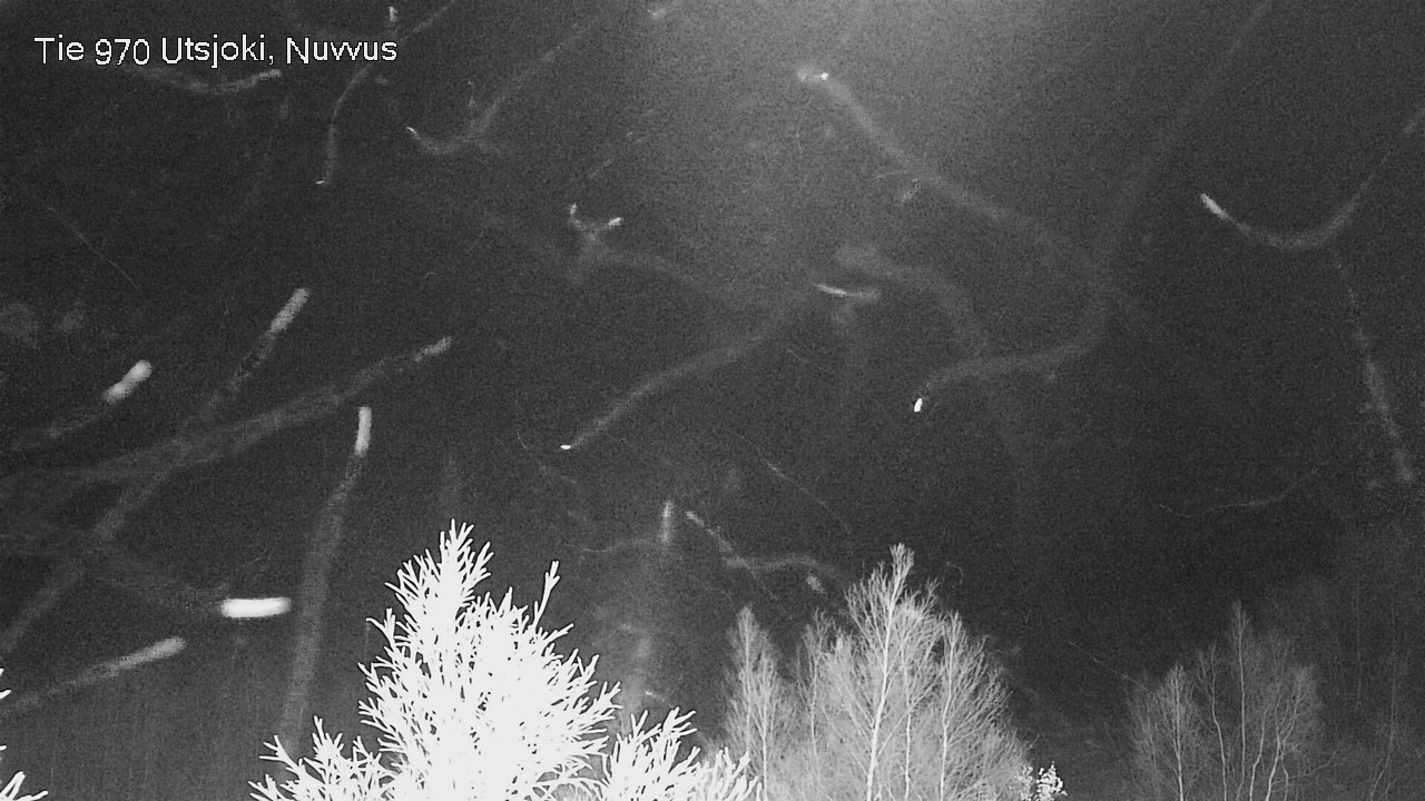 Kelikamerat Kuva Tie 970 Utsjoki, Nuvvus, Utsjoki, Lappi