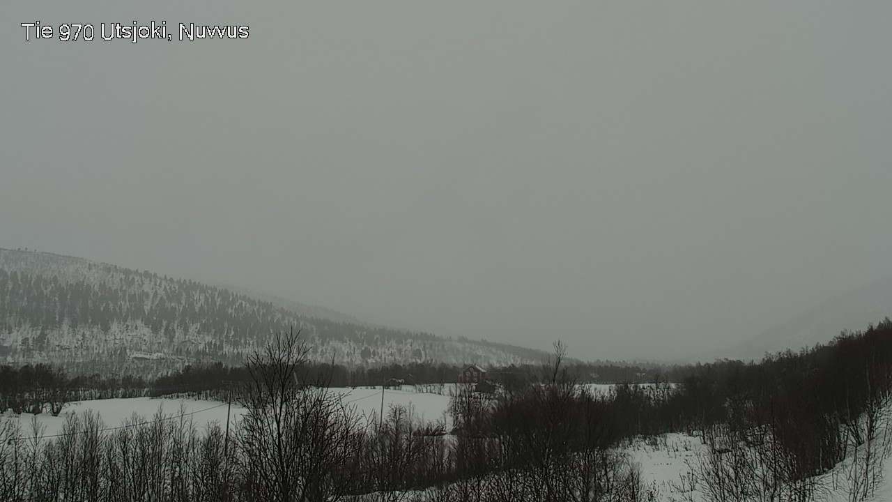 Kelikamerat Kuva Tie 970 Utsjoki, Nuvvus, Utsjoki, Lappi